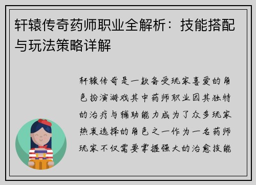 轩辕传奇药师职业全解析：技能搭配与玩法策略详解